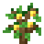 Lemon Fruit Sapling icon