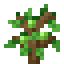Lime Sapling icon