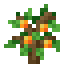 Orange Fruit Sapling icon