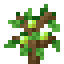 Pear Fruit Sapling icon
