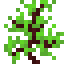 Mint icon