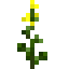 Mustard icon