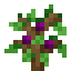 Plum Fruit Sapling icon