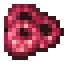 Raspberry icon