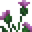 Thistle icon