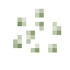 Zucchini Seeds icon