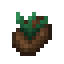 Ancient Seed icon