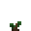 Chillberry Bush icon