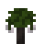Cottonwood Sapling icon