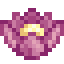 Lotus Blossom icon