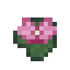 Lotus Flower icon
