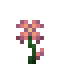 Potted Aegiflora icon