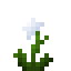 Potted Astrylis icon