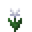 Potted Celestial Bloom icon