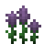 Potted Lavender icon