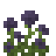 Potted Nightshade Bush icon