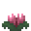 Wild Mandrake icon