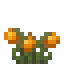 Wild Sunfire Tomato icon
