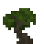 Willow Sapling icon