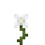 Windsong icon