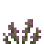 Witchweed icon