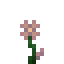 Withered Aegiflora icon
