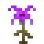 Lightning Lily icon