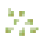 Lotus Seeds icon