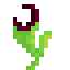 Pitcher Plant icon