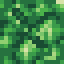 Echoing Budding Time icon