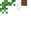Flower Shelf Plant icon