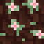 Flowering Pink Wood icon