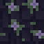 Flowering Purple Wood icon