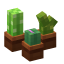 Mini Cactus Set icon