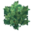 Small Bush icon
