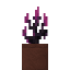 Potted Blightpearl icon