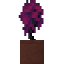 Potted Soulwood Sapling icon