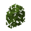 Dark Oak Hedge icon