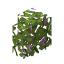 Flowering Azalea Hedge icon