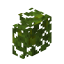 Jungle Hedge icon