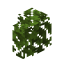 Oak Hedge icon