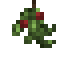 Mistletoe icon