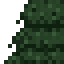 Pine Top icon