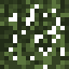 Hanging Birch Leaves icon