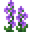 Delphinium icon