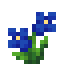 Enzian icon