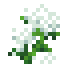 Tall Eriophorum icon