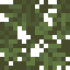 Pine Leaves icon