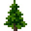 Pine Sapling icon