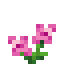 Saxifrage icon